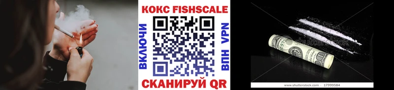 продажа наркотиков  МЕГА онион  COCAIN Fish Scale  Раменское 