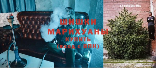 индика Нефтекумск