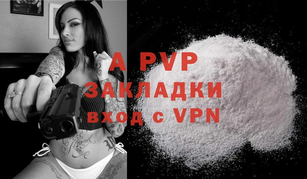 индика Нефтекумск