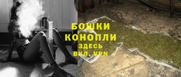крисы Нея