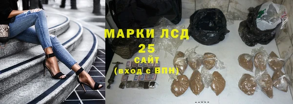 индика Нефтекумск