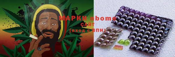 индика Нефтекумск
