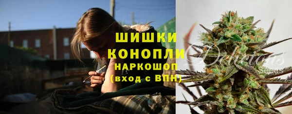 крисы Нея