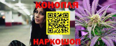прущие крисы Кингисепп