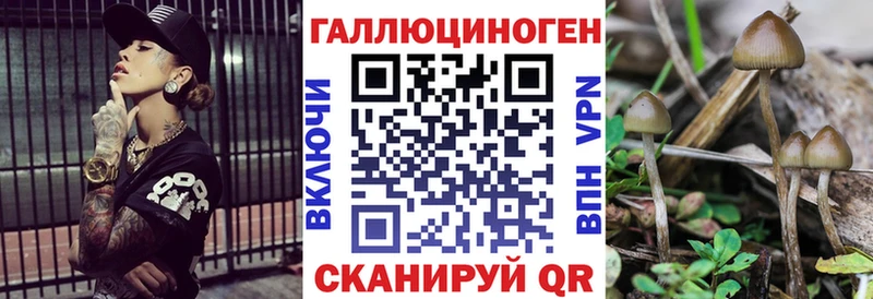 блэк спрут вход  darknet наркотические препараты  Галлюциногенные грибы мицелий  Раменское 