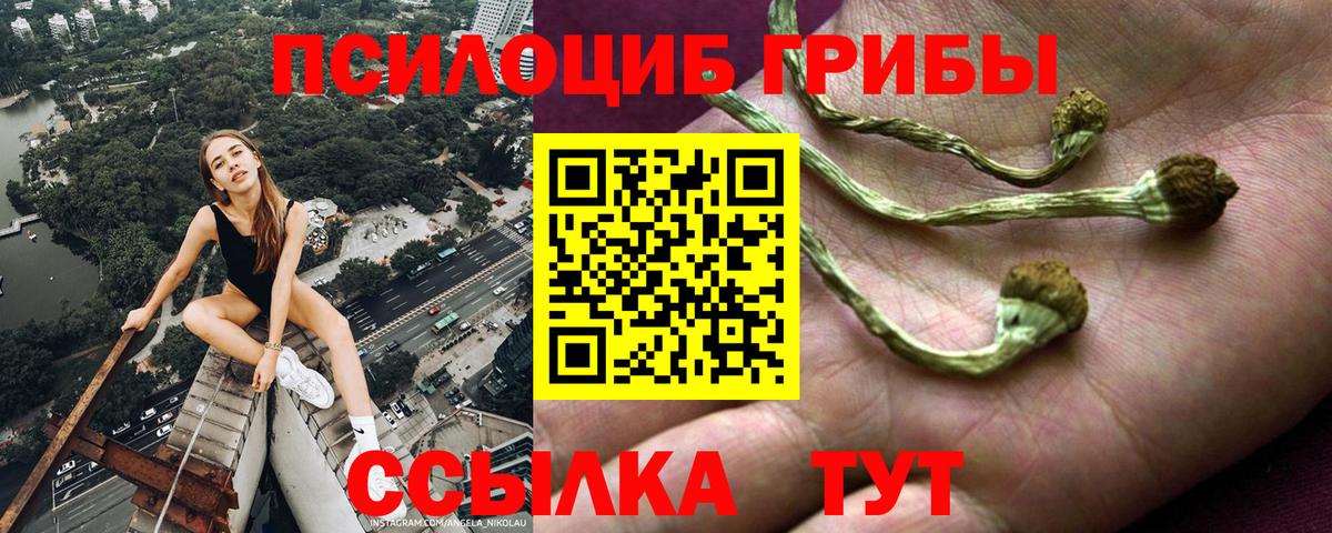 Псилоцибиновые грибы Psilocybine cubensis  Вход с VPN  Раменское 